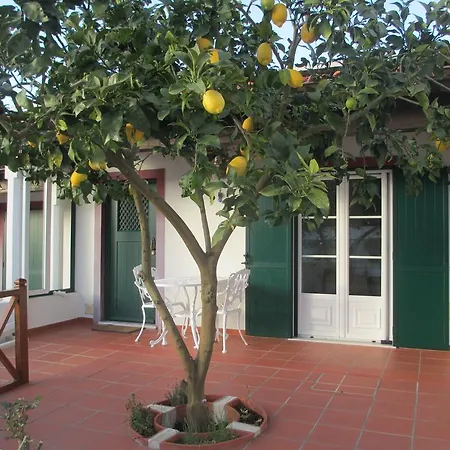 Vakantiehuis Casa Do Limoeiro