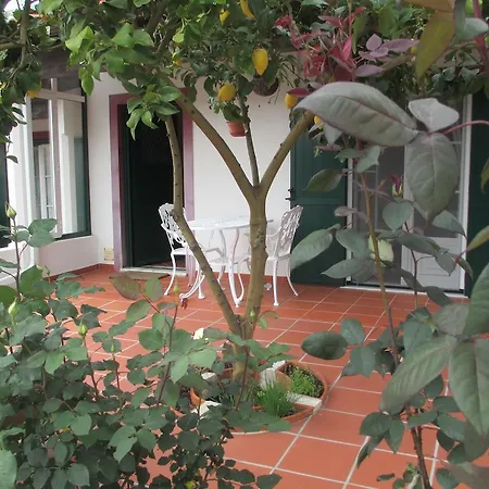בית נופש Casa Do Limoeiro אובידוס