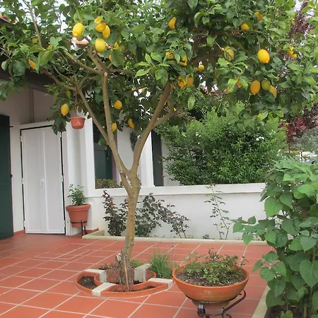 Vakantiehuis Casa Do Limoeiro *