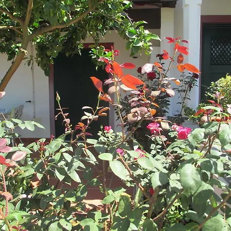 Vakantiehuis Casa Do Limoeiro