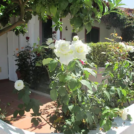 Casa Do Limoeiro *